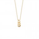 Fine chain necklace, gold-plated convict link with mesh pendant inlaid with a zircon