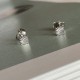 925 silver earrings - Ear stud Ear chips - Shell inspiration